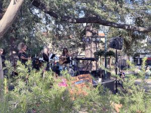 Los Gatos Music in the Park